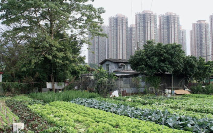 Kmetija Ma Po Po, Hongkong, 2011 (foto Shu Mei Huang)