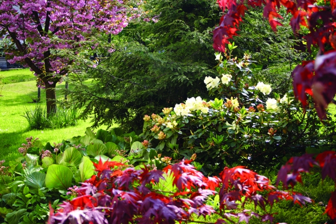 Garden of Kosmac family in Žiri, photo Polona Mlakar Baldasin