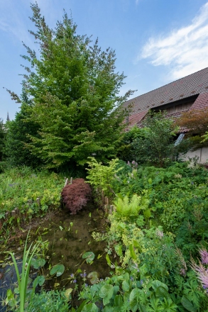 Obisk vrtov Jute Krulc v Žireh, 3. julij 2015. Foto: Blaž Jamšek
