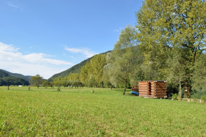 photo Miran Kambič