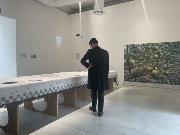 Watermelons, Sardines, Crabs, Sands, and Sediments: Border Ecologies and the Gaza Strip, 2021, FAST, source: http://seamlessterritory.org/visit-our-new-border-ecologies-website/