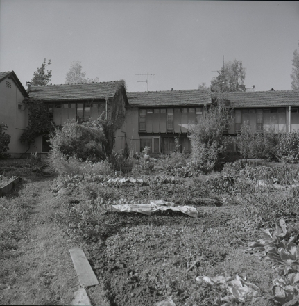 Vrstne hiše Kočevje, Šeškova ulica, Kočevje, 1954, Ilija Arnautović in Stanko Kristl, foto: Janez Kališnik, originale hrani MAO, Ljubljana